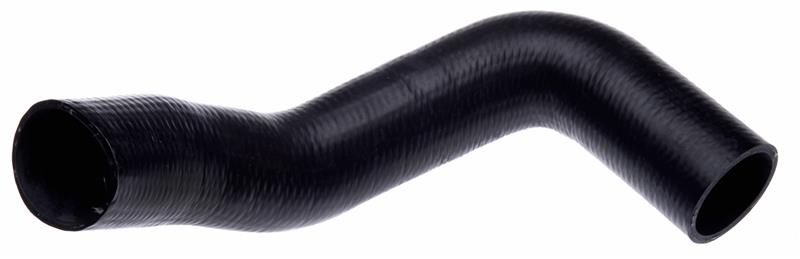 Gates 1980 International Scout II V-8 5.0L Lower Molded Coolant Hose