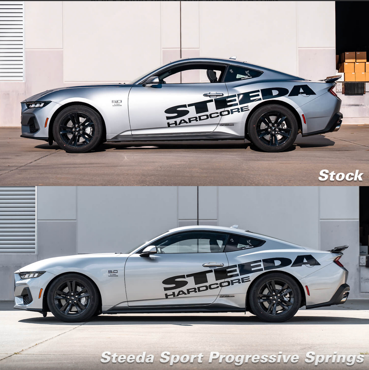 Steeda Mustang Sport Lowering Springs - Progressive GT / V6 (2015-2024)