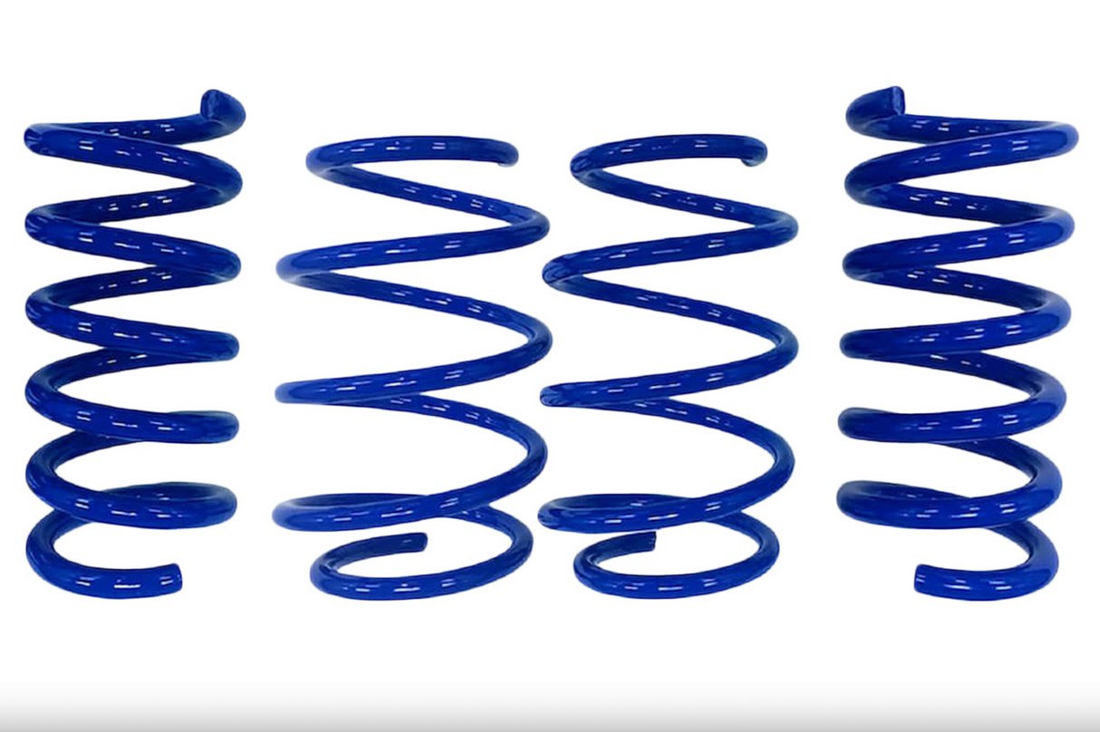Steeda Mustang GT Magneride Drag Springs - Linear (2015-2026)