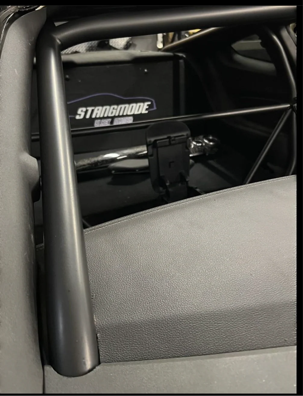2015-2022 "S550" mustang cage kit with swing outs