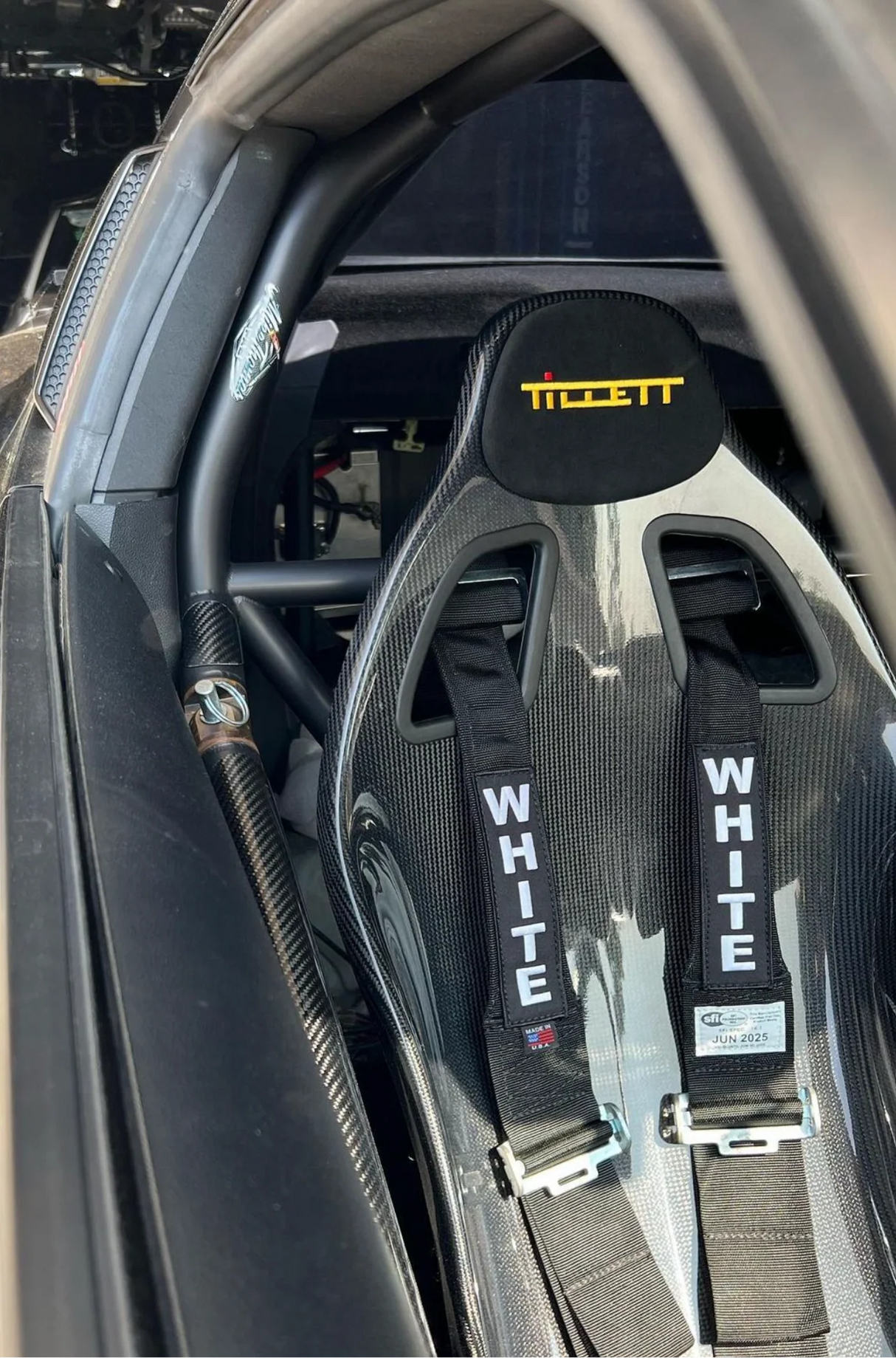 2015-2022 "S550" mustang cage kit with swing outs