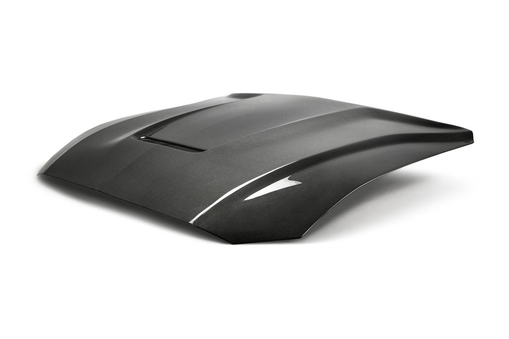 2018-2020 FORD MUSTANG TYPE-GR DOUBLE SIDED CARBON FIBER HOOD