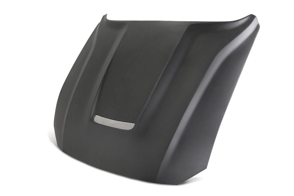 2018-2020 FORD MUSTANG TYPE-GR FIBERGLASS HOOD