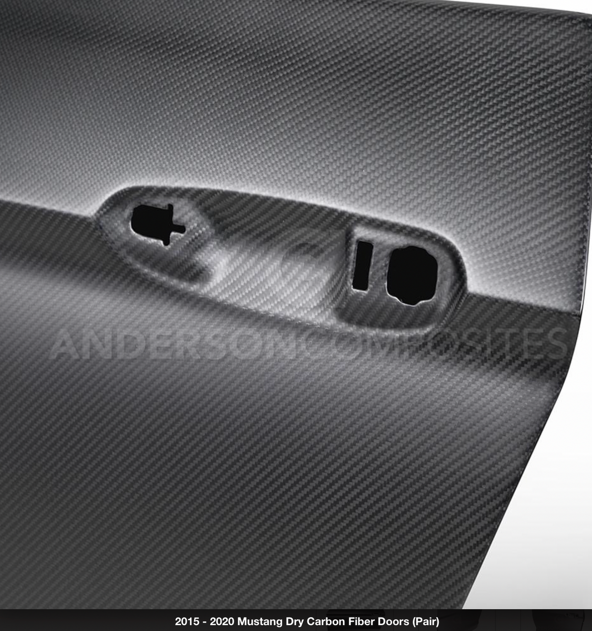 2015 - 2020 MUSTANG DRY CARBON FIBER DOORS (PAIR)