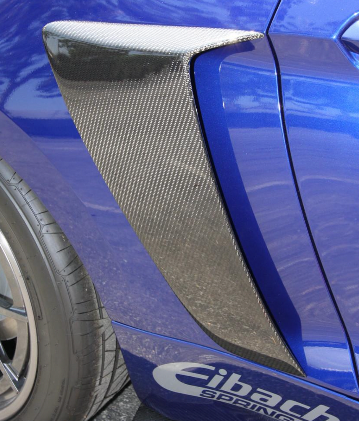 2015 - 2020 MUSTANG CARBON FIBER SIDE SCOOPS (PAIR)