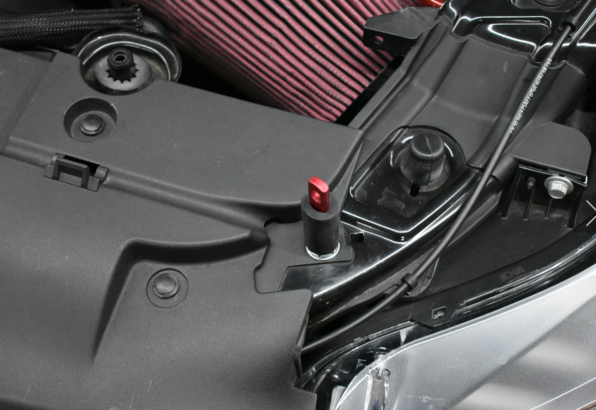 2015 - 2017 MUSTANG DOUBLE SIDED CARBON FIBER COWL HOOD