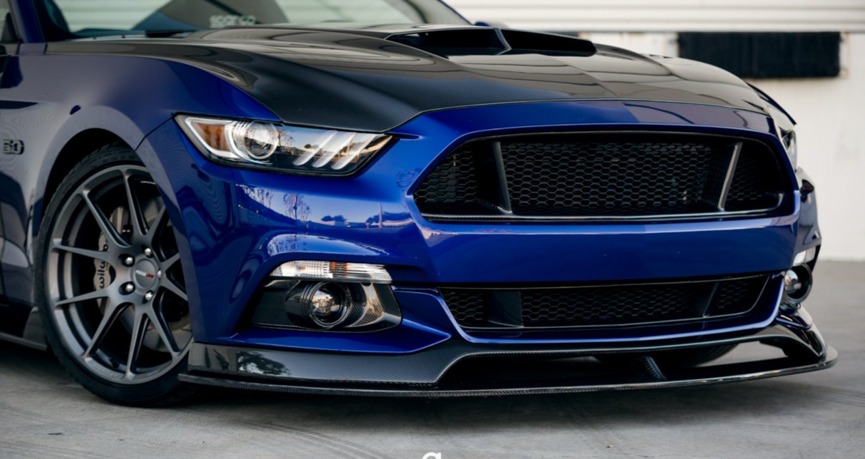 2015-2017 FORD MUSTANG CARBON FIBER LOWER GRILLE