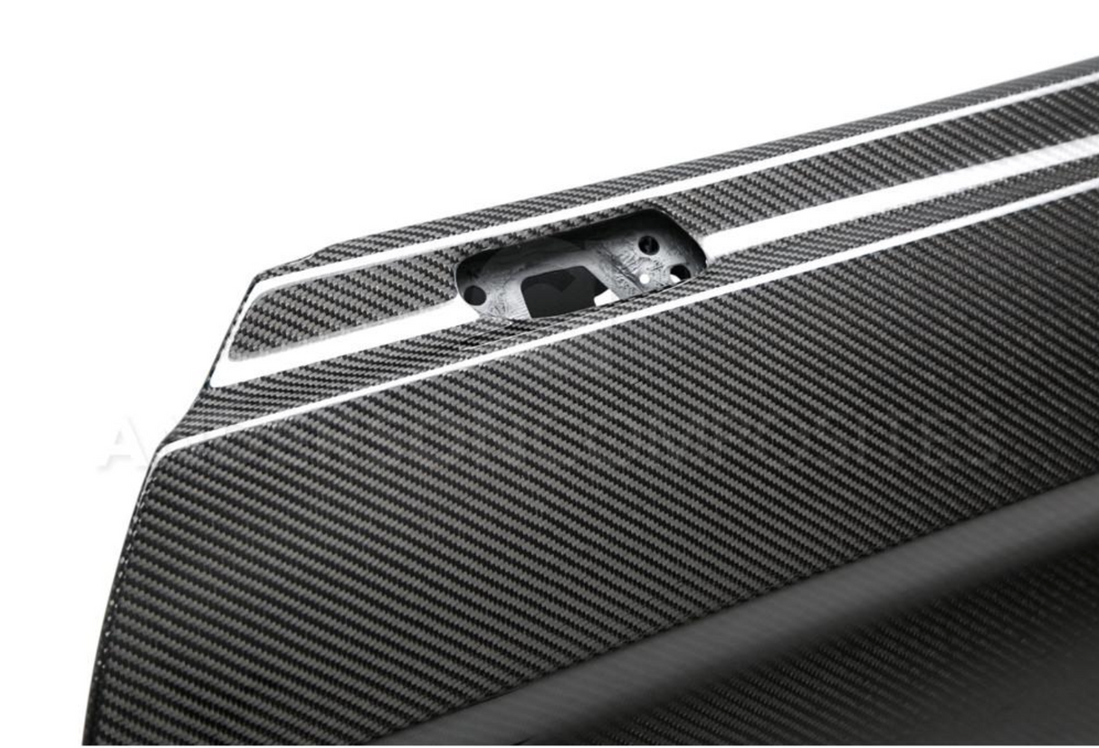 2015 - 2020 CARBON FIBER MUSTANG DOORS (PAIR)