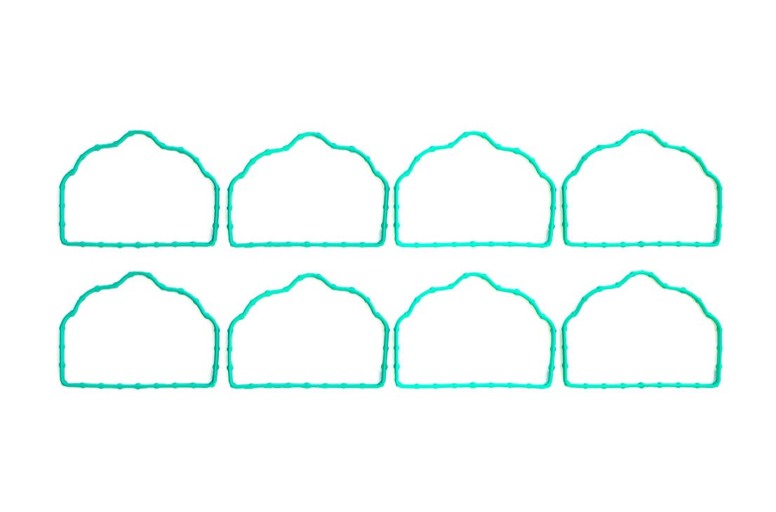 FORD 5.0L GEN-2 COYOTE MODULAR V8 INTAKE MANIFOLD GASKET SET