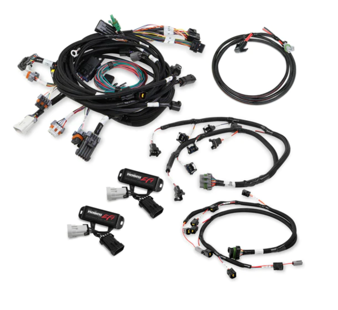 Ford Modular 2 Valve EFI Harness Kit