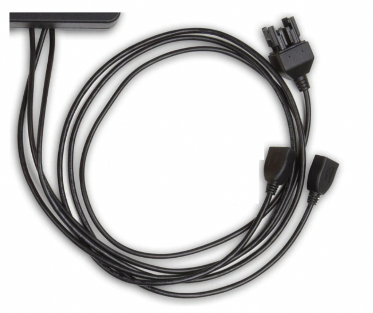 Digital Dash Service Harness