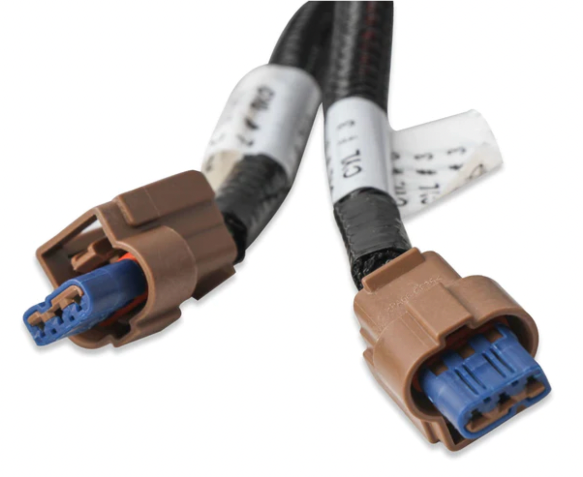 Ford Coyote TI-VCT Coil Harness (2015.5-2017)