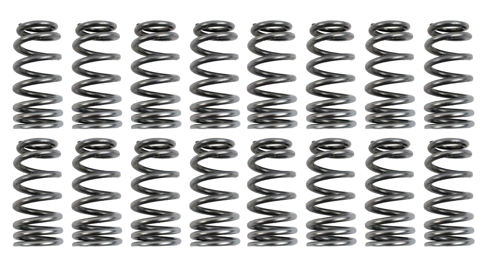 PAC Racing RPM Series Valve Springs PAC-1234X-16 – Coyote Direct
