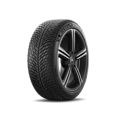 Michelin Pilot Alpin 5 255/40R20 101V XL