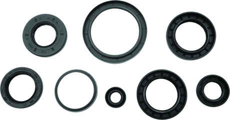 QuadBoss 12-14 Arctic Cat 550 4x4 EFI Oil Seal Set