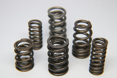 Ferrea 1.225in to 1.570in Dia 1.005/1.43 OD 0.73/1.07 ID Dual w/Damper Valve Spring- Sngl (D/S Only)