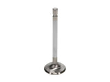 User 2