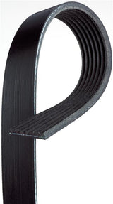 Gates 2005 Nissan Frontier V-6 4.0L Serpentine Standard V-Ribbed Belt