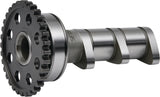 Hot Cams 09-21 YFZ 450 R/09-21 YFZ 450 R SE Intake Camshaft - Stage 2