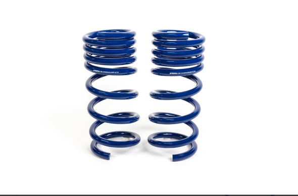 Steeda Mustang MagneRide Sport Progressive Lowering Springs (2015-2024)