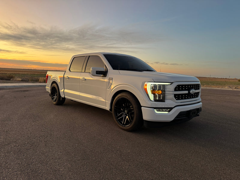Ridetech 2015+ Ford F150 2WD and 4WD Rear Lowering Kit