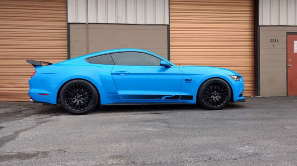 Steeda Mustang Sport Lowering Springs - Progressive GT / V6 (2015-2024)