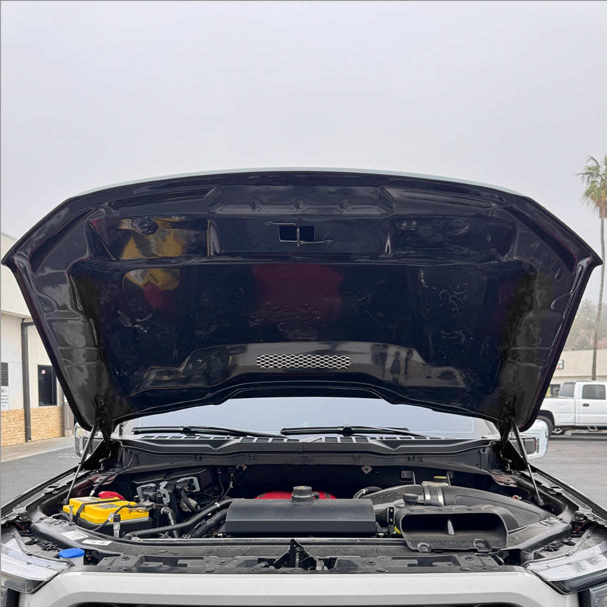 21-25 F-150 Cowl Hood