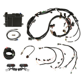 FORD COYOTE TI-VCT CAPABLE HP EFI KIT, BOSCH O2