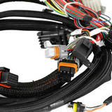 FORD COYOTE TI-VCT CAPABLE HP EFI KIT, BOSCH O2