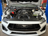 HELLION 2024+ FORD MUSTANG GT / DARK HORSE STREET SLEEPER® HIDDEN TWIN TURBO SYSTEM–TUNING AVAILABLE!