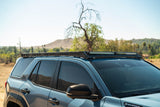 DV8 Offroad 25-26 Toyota 4Runner Roof Rack Light Cutout Fairing (Use w/ PN RRTF3-02)