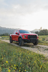 DV8 Offroad Ford 17-20 Ford F-150 Raptor Tube Front Bumper