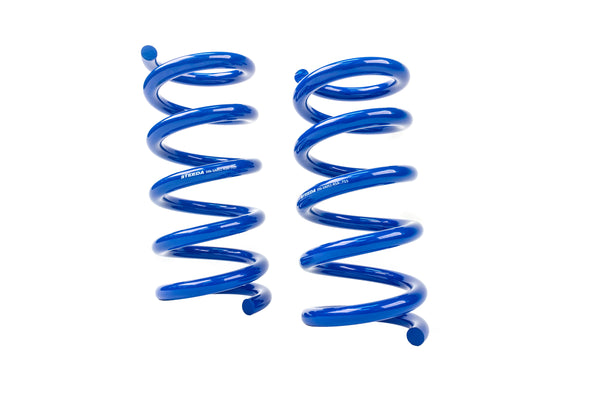 Steeda S550 Mustang Rear Drag Spring Kit (2015-2021)