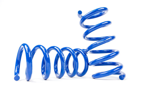 Steeda S550 Mustang Rear Drag Spring Kit (2015-2021)