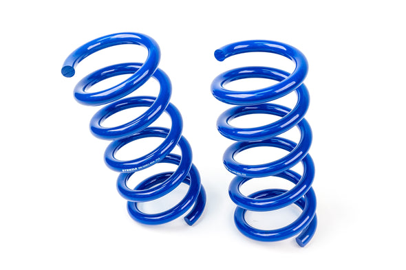 Steeda S550 Mustang Rear Drag Spring Kit (2015-2021)