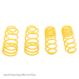 ST Sport-tech Lowering Springs Ford Mustang 5th gen.