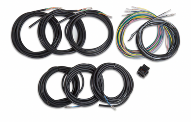 Unterminated Vehicle Harness For Digital Dash