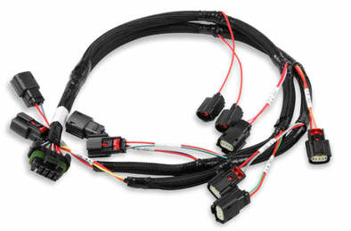 Ford Coyote Coil Harness