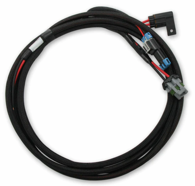 Holley EFI Main Power Harness For Coyote TI-VCT Applications