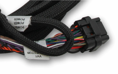 Holley EFI Ford Coyote TI-VCT Sub Harness (2011-2012)