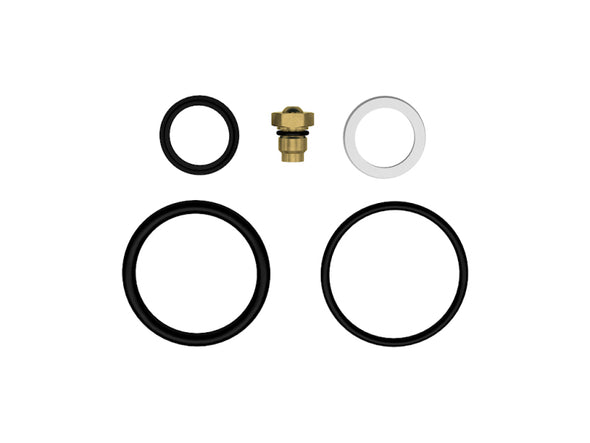 ICON 2.5 IFP Rebuild Kit - Viton